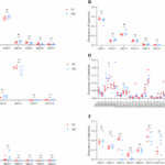Longitudinal omics reveals immune repertoire remodeling in myasthenia gravis patients post-tacrolimus therapy