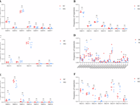 Longitudinal omics reveals immune repertoire remodeling in myasthenia gravis patients post-tacrolimus therapy