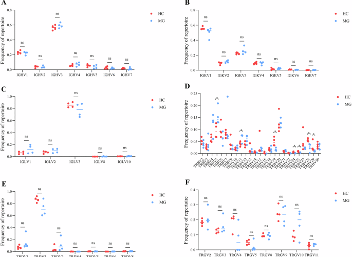 Longitudinal omics reveals immune repertoire remodeling in myasthenia gravis patients post-tacrolimus therapy