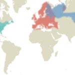 Lyme borreliosis | Nature Reviews Disease Primers