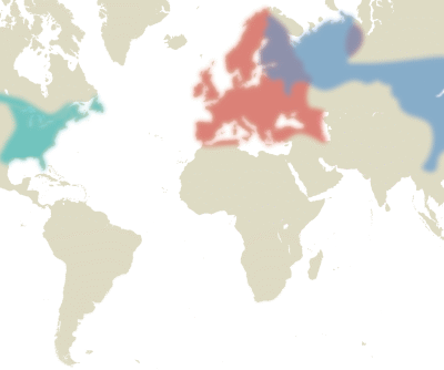 Lyme borreliosis | Nature Reviews Disease Primers