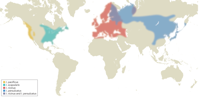 Lyme borreliosis | Nature Reviews Disease Primers