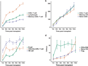Lymphocyte subset reconstitution and clinical outcomes following haploidentical hematopoietic stem cell transplantation