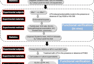MTA1-mediated transcriptional repression of Cox2 confers resistance against neutrophil infiltration in endometritis