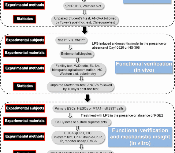 MTA1-mediated transcriptional repression of Cox2 confers resistance against neutrophil infiltration in endometritis