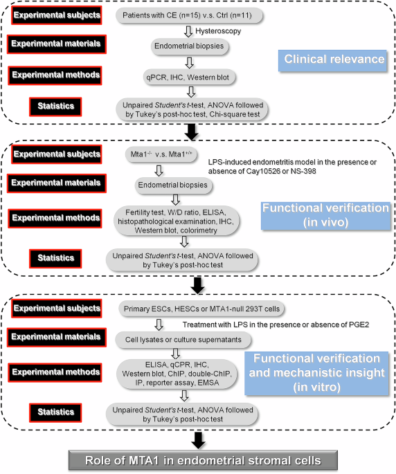 MTA1-mediated transcriptional repression of Cox2 confers resistance against neutrophil infiltration in endometritis