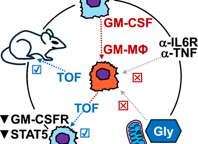 Mechanistic impasses: tofacitinib treatment ameliorates GM-CSF-driven macrophage inflammation