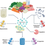 Metabotherapy for intestinal disease: using metabolites to prevent and treat disorders of the gut