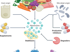 Metabotherapy for intestinal disease: using metabolites to prevent and treat disorders of the gut