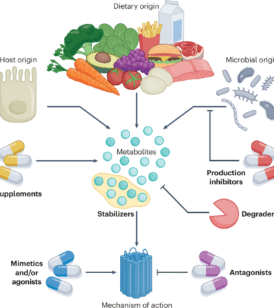 Metabotherapy for intestinal disease: using metabolites to prevent and treat disorders of the gut