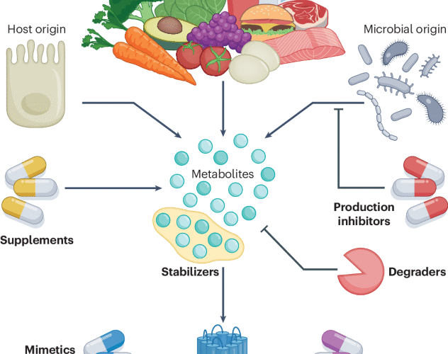 Metabotherapy for intestinal disease: using metabolites to prevent and treat disorders of the gut