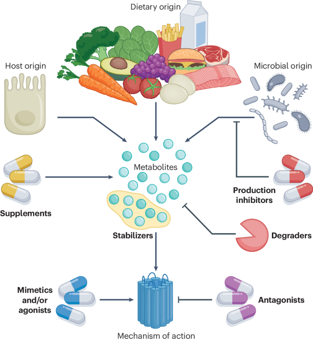 Metabotherapy for intestinal disease: using metabolites to prevent and treat disorders of the gut