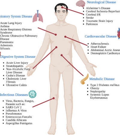 PANoptosis as a drug discovery framework: integrating cell death architecture with clinical translation