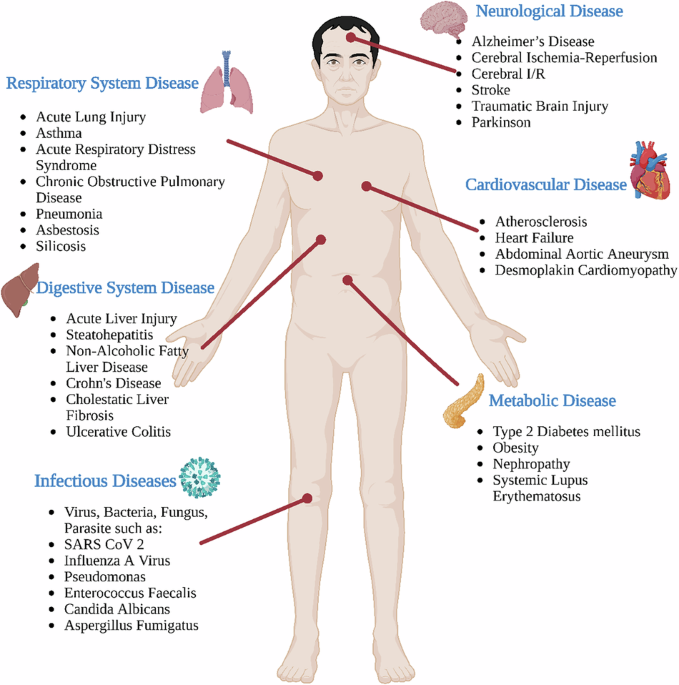 PANoptosis as a drug discovery framework: integrating cell death architecture with clinical translation
