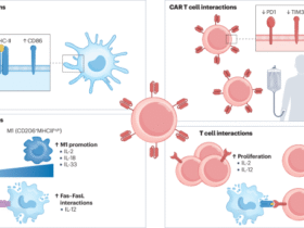 Progress in the development of cytokine armoured CAR T cells