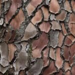 Pycnogenol: Benefits and Safety