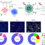 Pyroptosis-boosting nanoadjuvants enable effective in situ cancer vaccination