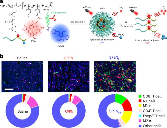 Pyroptosis-boosting nanoadjuvants enable effective in situ cancer vaccination
