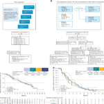 Quemliclustat and chemotherapy with or without zimberelimab in metastatic pancreatic adenocarcinoma: a randomized phase 1 trial