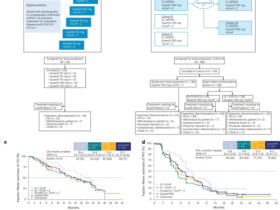 Quemliclustat and chemotherapy with or without zimberelimab in metastatic pancreatic adenocarcinoma: a randomized phase 1 trial