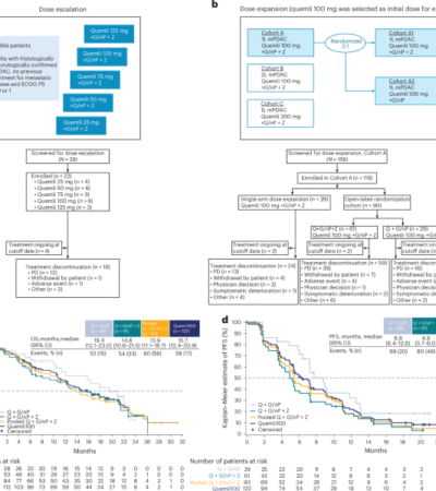 Quemliclustat and chemotherapy with or without zimberelimab in metastatic pancreatic adenocarcinoma: a randomized phase 1 trial