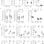 RNA-binding proteins Zfp36l1 and Zfp36l2 protect against premature thymic involution