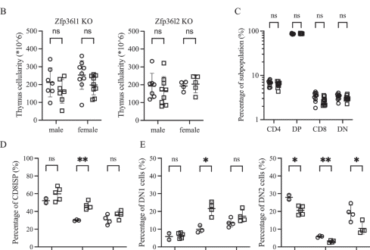 RNA-binding proteins Zfp36l1 and Zfp36l2 protect against premature thymic involution