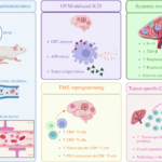 Reprogramming the immune orchestra for glioblastoma: oncolytic viruses and the B-cell connection