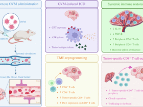 Reprogramming the immune orchestra for glioblastoma: oncolytic viruses and the B-cell connection