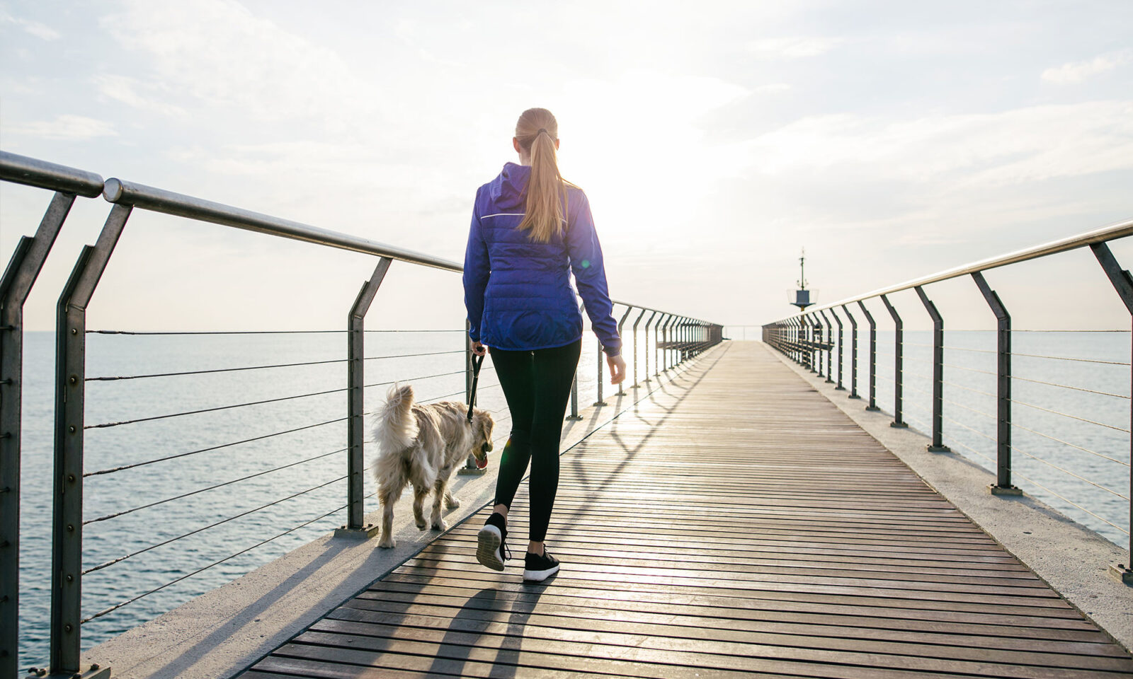 Research Reveals Aerobic Exercise Helps With Memory As We Age