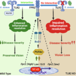 Resolvin D1 requires TLR2-FPR2 crosstalk for inflammation resolution and protection during ocular bacterial infection