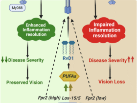 Resolvin D1 requires TLR2-FPR2 crosstalk for inflammation resolution and protection during ocular bacterial infection