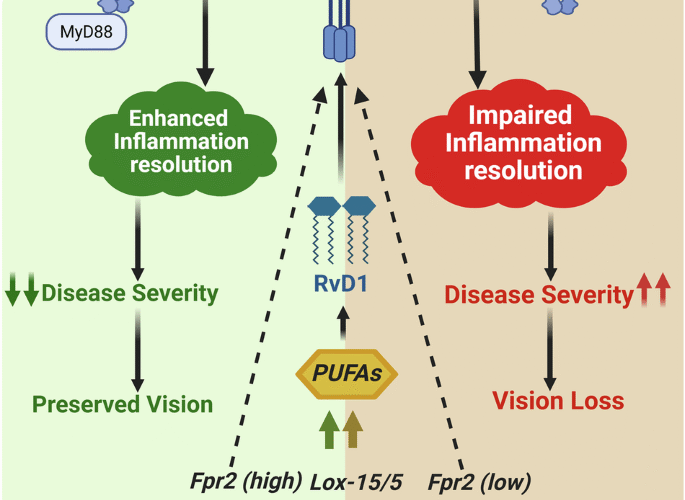 Resolvin D1 requires TLR2-FPR2 crosstalk for inflammation resolution and protection during ocular bacterial infection