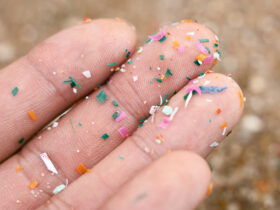 Rethink That Black Spatula: How To Reduce The Risks Of Plastic Exposure