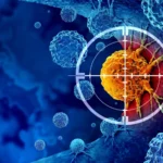 Scientists discover the switch that revives exhausted cancer-fighting T cells