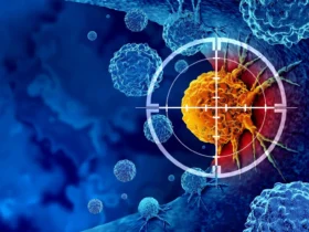 Scientists discover the switch that revives exhausted cancer-fighting T cells