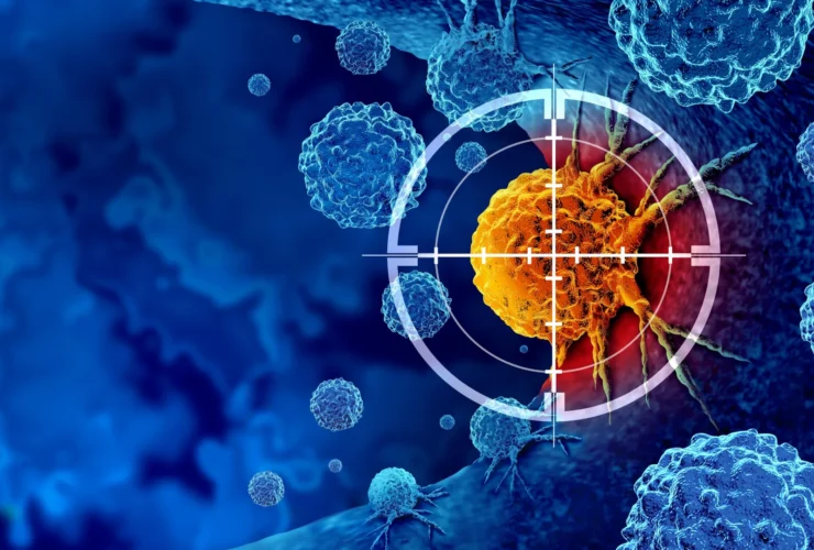 Scientists discover the switch that revives exhausted cancer-fighting T cells