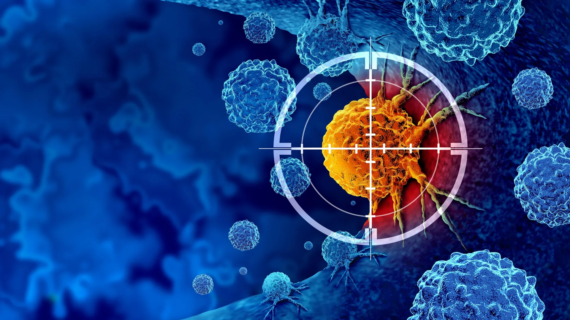 Scientists discover the switch that revives exhausted cancer-fighting T cells