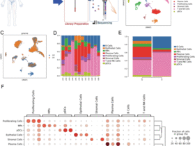 Single-cell transcriptomics reveals heterogeneity and immune microenvironment in lymphatic metastasis of head and neck squamous cell carcinoma