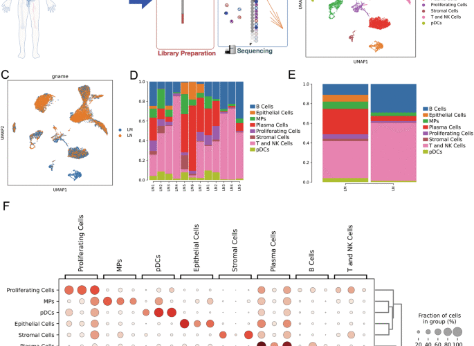 Single-cell transcriptomics reveals heterogeneity and immune microenvironment in lymphatic metastasis of head and neck squamous cell carcinoma