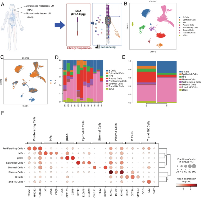 Single-cell transcriptomics reveals heterogeneity and immune microenvironment in lymphatic metastasis of head and neck squamous cell carcinoma