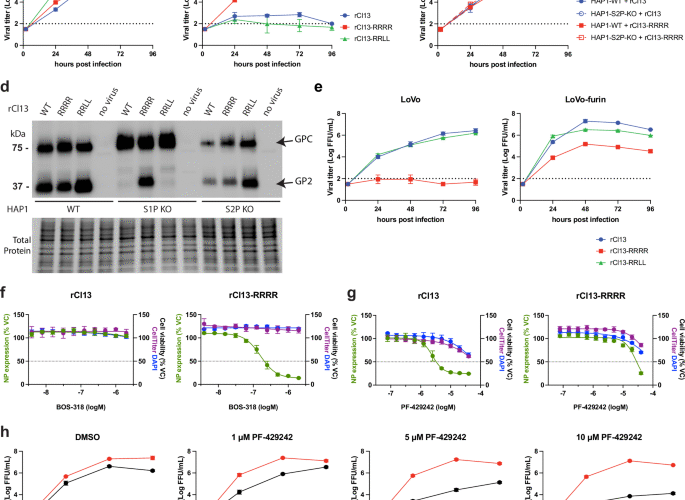 Site-1 protease mediated GPC processing is required for persistence of LCMV Clone 13