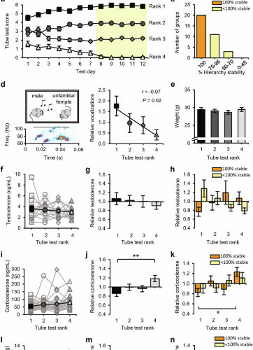 Social status impacts T-cell responses through synapse strength in the prefrontal cortex