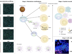 Spatial profiling uncovers multicellular dynamics in early relapse of hepatitis B virus-associated follicular lymphoma