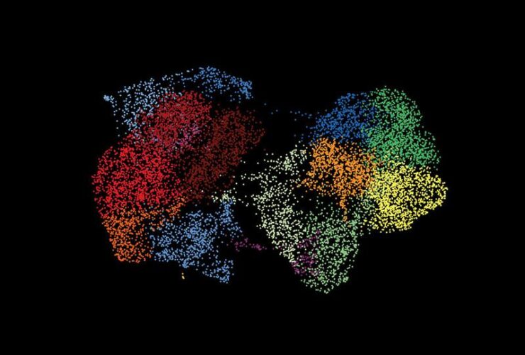 T cell development from expanded hematopoietic progenitors reveals initiation control by Lmo2 and Flt3L priming | Science Immunology