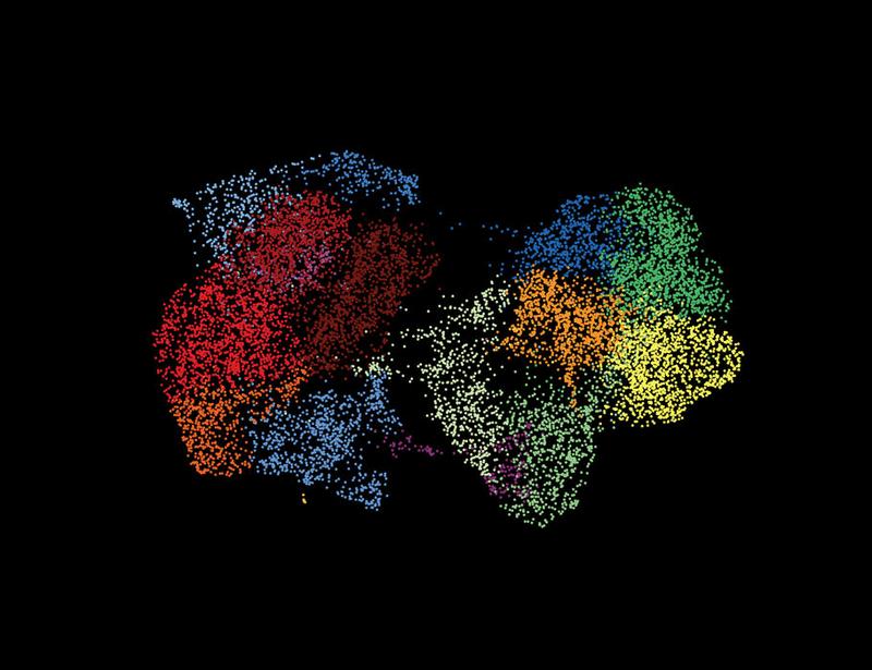 T cell development from expanded hematopoietic progenitors reveals initiation control by Lmo2 and Flt3L priming | Science Immunology