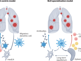 TRACKing the tissue-specific origins of diverse effector T cell functions