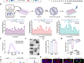 TRIM13 in situ engineering boosts anti-inflammatory capacity of CAR-Ms for liver fibrosis therapy