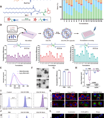 TRIM13 in situ engineering boosts anti-inflammatory capacity of CAR-Ms for liver fibrosis therapy