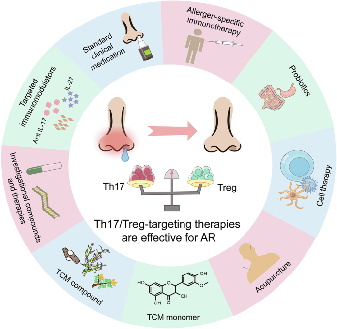 Th17/Treg cell imbalance in allergic rhinitis: mechanisms and therapeutic implications